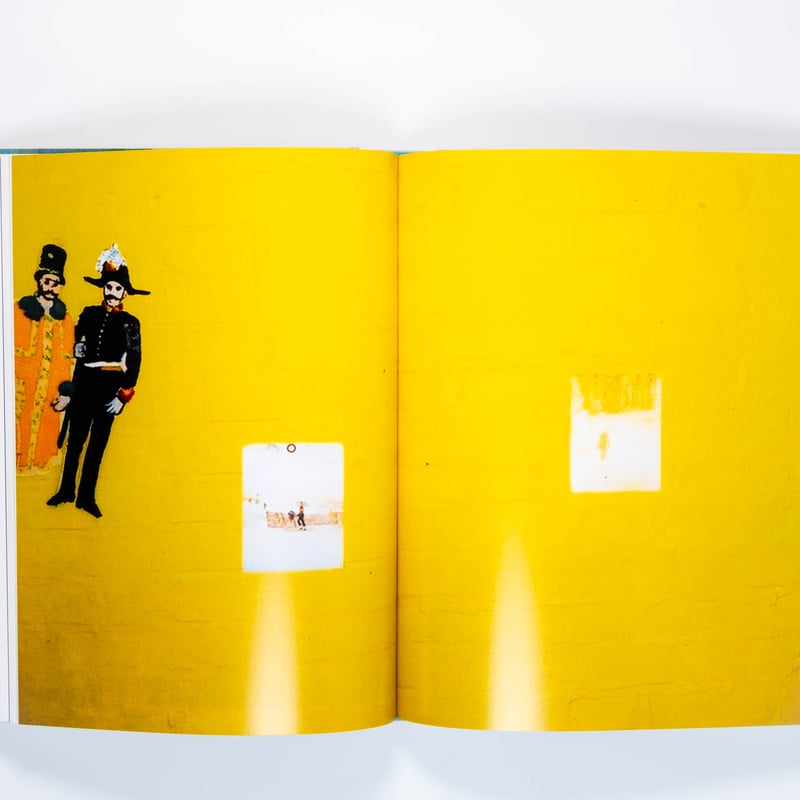 PETER DOIG ピーター・ドイグ 作品集 画集 具象画 オールカラー 稀少