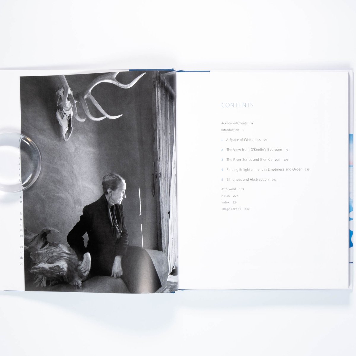 Georgia O'Keeffe: The Late Work | Art Book Isku