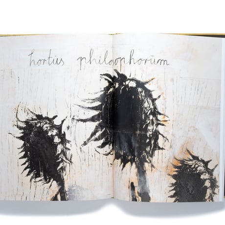 Anselm Kiefer: Fallen Angels
