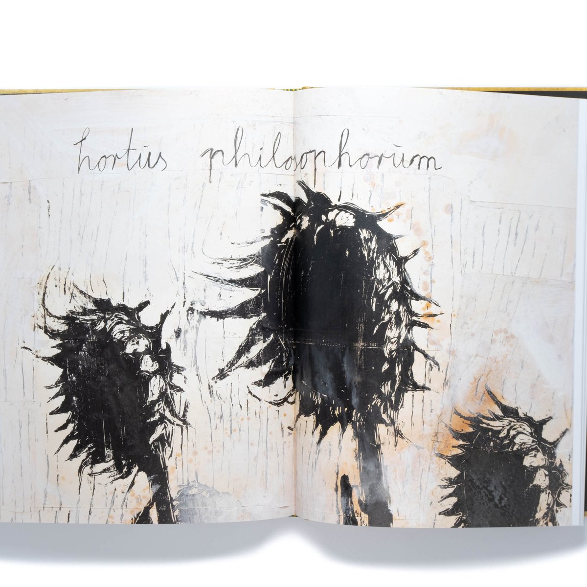 Anselm Kiefer: Fallen Angels | Art Book Iskusstvo Anselm Kiefer: Fallen Angels | Art Book Iskusstvo