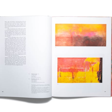 Frank Bowling: Penumbral Light