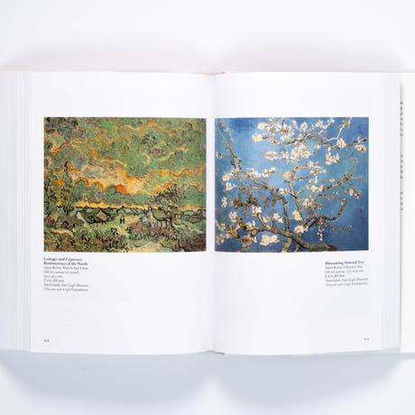 Van Gogh. The Complete Paintings