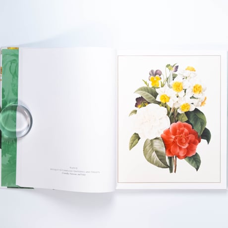 Redouté: Fabulous Flowers