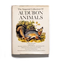 The Imperial Collection of Audubon Animals