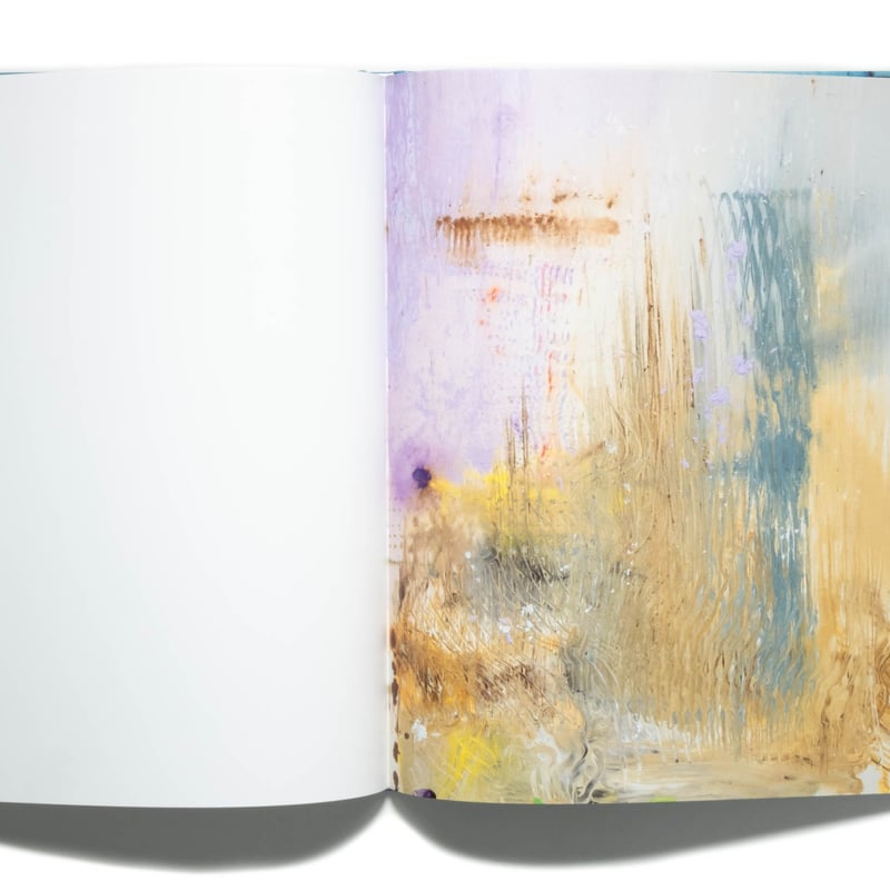 Helen Frankenthaler: Drawing within Nature, Pai