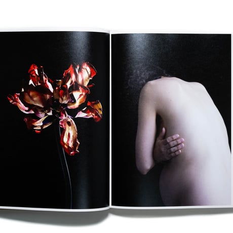 Carla van de Puttelaar: Adornments