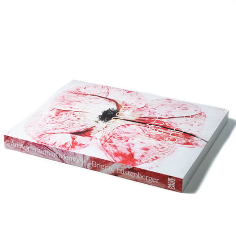 Brigitte Lustenberger: An Apparition of Memory