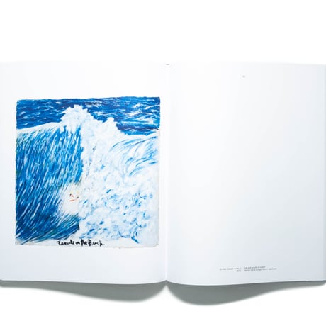 Point Break: Raymond Pettibon, Surfers and Waves