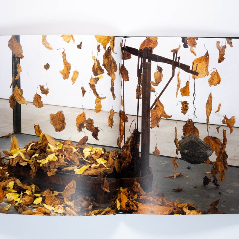 Anselm Kiefer: Mein Rhein | Art Book Iskusstvo