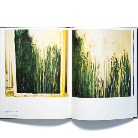 Cy Twombly Photographer, Friends and Others: Le Temps Retrouvé