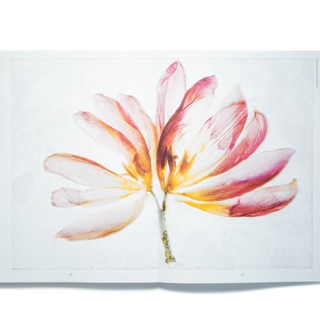 Brigitte Lustenberger: An Apparition of Memory