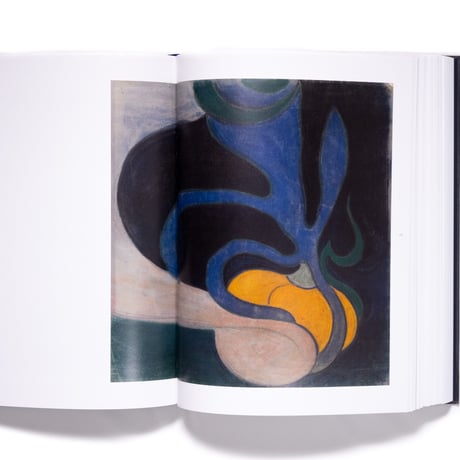 Henry Van De Velde: The Complete Paintings And Drawings