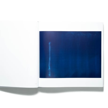 Wolfgang Tillmans. Saturated Light