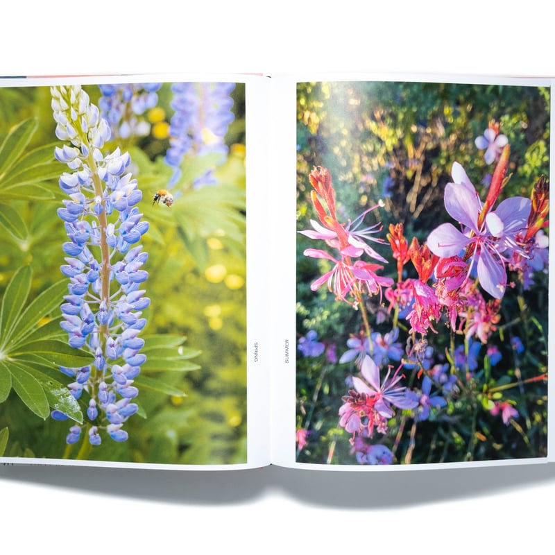 Arne Quinze | Art Book Iskusstvo