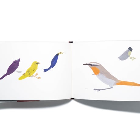 A Book of Birds by Humphrey Ocean