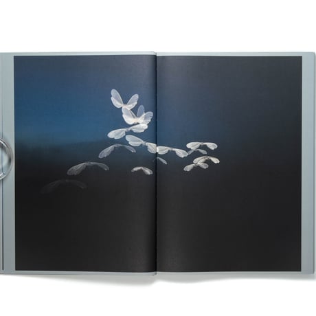 Rogier Maaskant – Sense of Presence