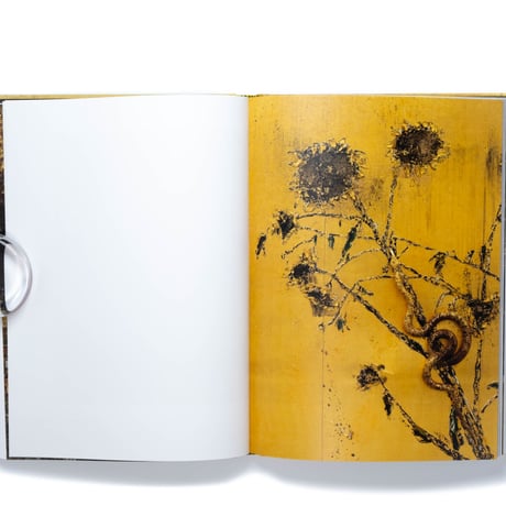 Anselm Kiefer: Fallen Angels