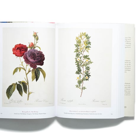 Redouté: The Book of Flowers. 40th Ed.