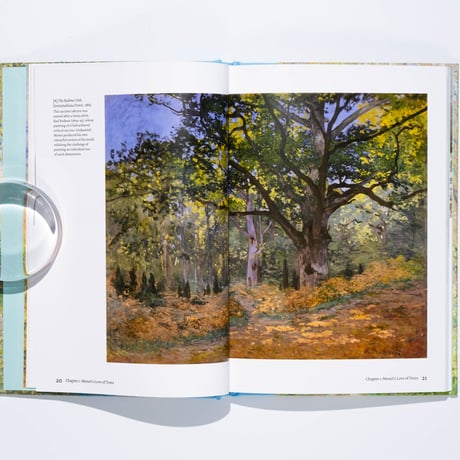 Monet's Trees: Paintings and Drawings