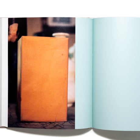 Giorgio Morandi: Late Paintings