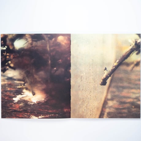 Benedetta Casagrande - All Things Laid Dormant
