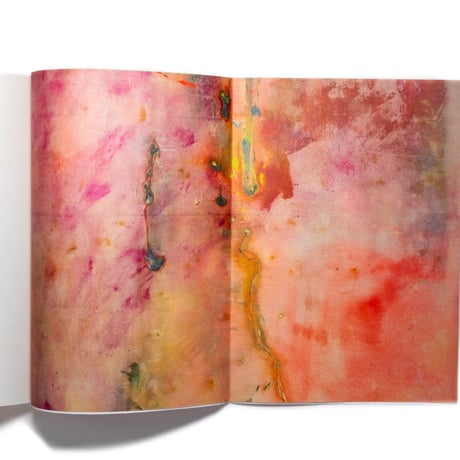 Frank Bowling: Penumbral Light