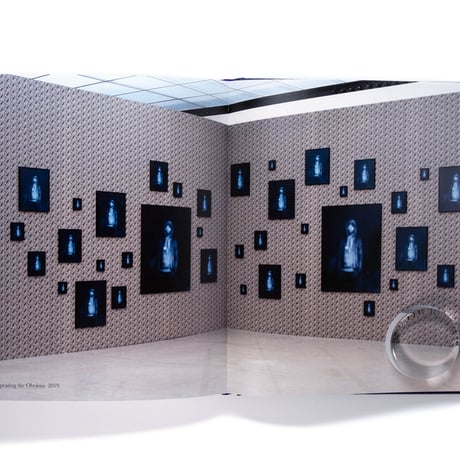 Carrie Mae Weems: A Great Turn in the Possible