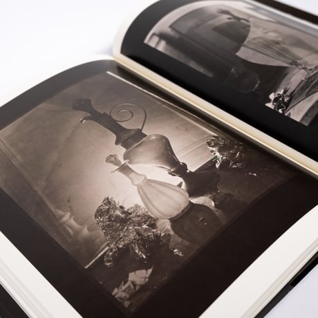 JOSEF SUDEK  -Labyrinty-