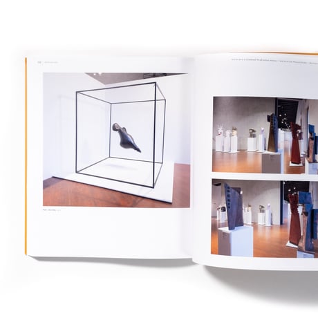 Jan Koblasa : 二つの展覧会の記録