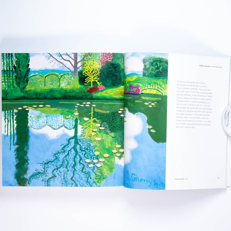 Hockney's Pictures