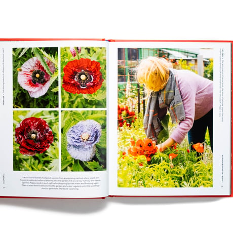 The Super Bloom Handbook