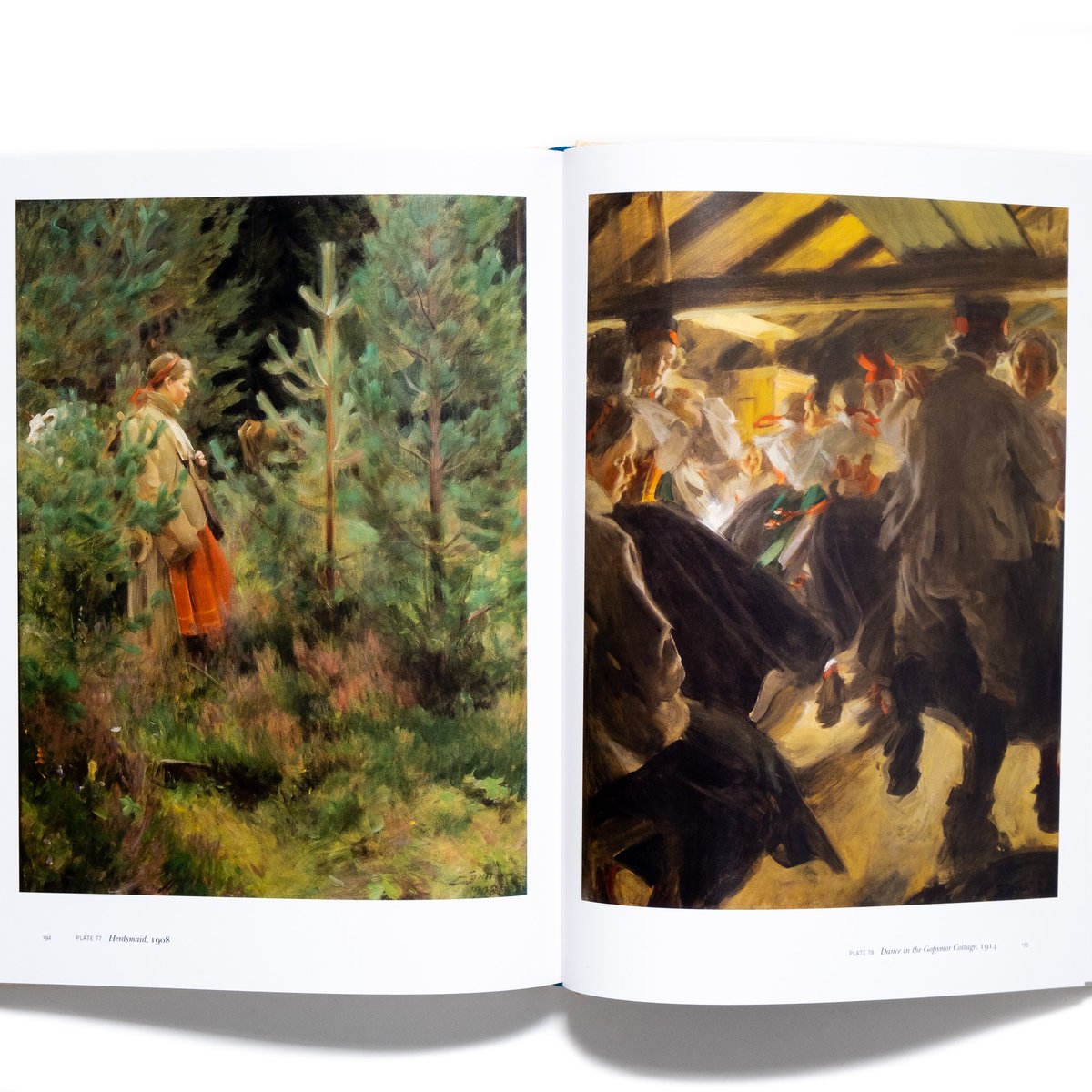 Anders Zorn: Sweden's Master Painter | Art Book Anders Zorn: Sweden's Master Painter | Art Book