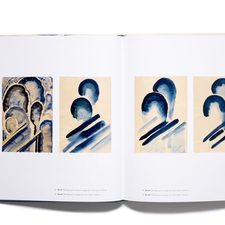 Georgia O'Keeffe: To See Takes Time