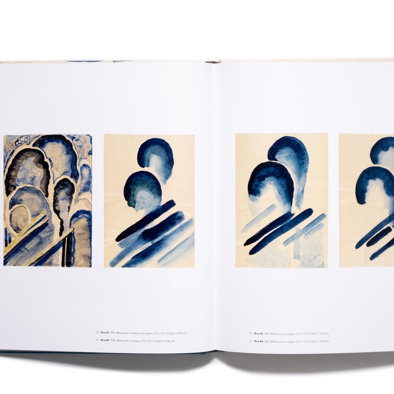 Georgia O'Keeffe: To See Takes Time | Art Book