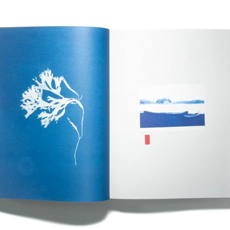 The Colour Journal: The Blue Issue