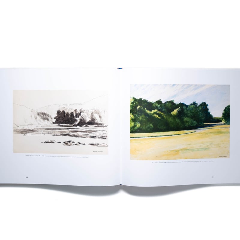 Edward Hopper: A Fresh Look at Landscape | Art