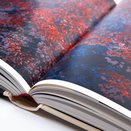 Erik Madigan Heck: The Tapestry