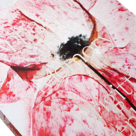 Brigitte Lustenberger: An Apparition of Memory
