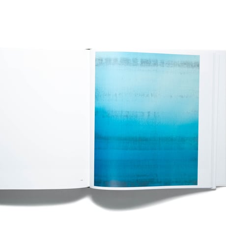 Wolfgang Tillmans. Saturated Light