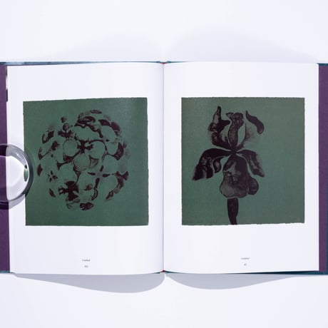 Ruth Asawa: The Tamarind Prints