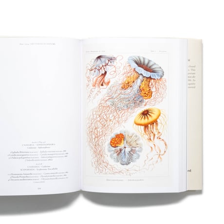 The Art and Science of Ernst Haeckel. 40th Ed.