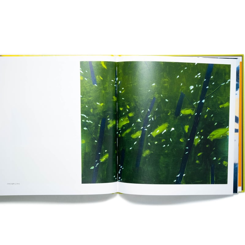 Alex Katz: Quick Light | Art Book Iskusstvo