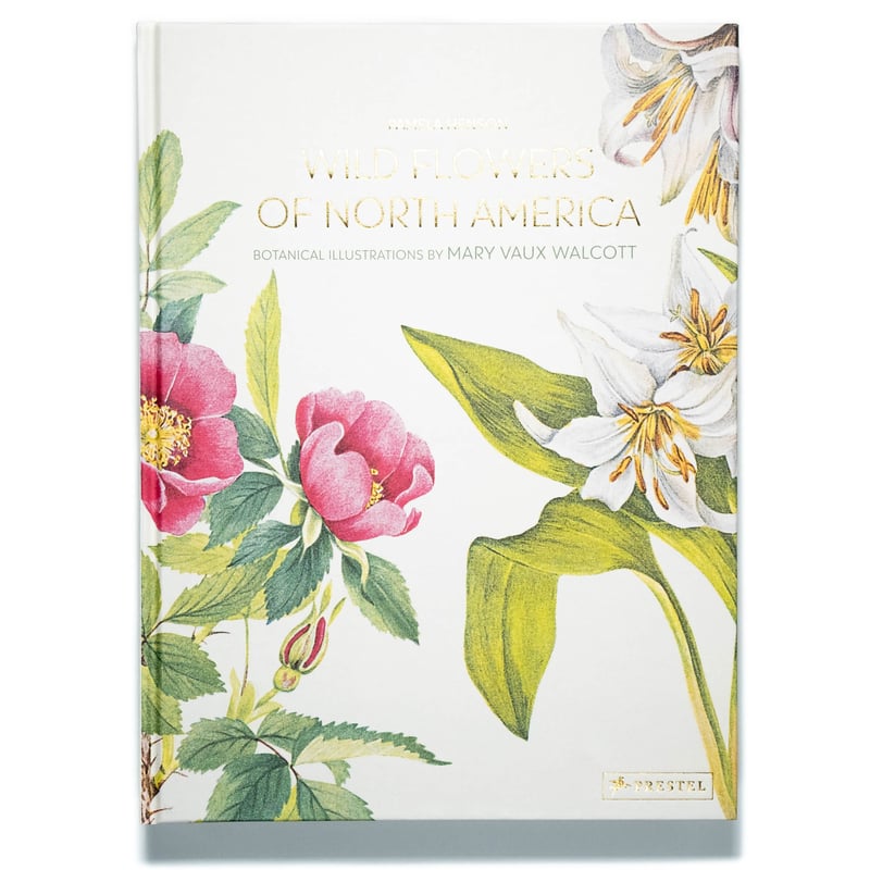 Wild Flowers of North America | Art Book Iskusstvo