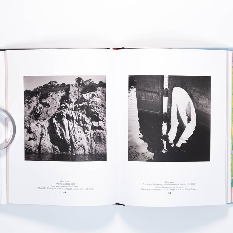 Forbidden Territories: 100 Years of Surreal Lan