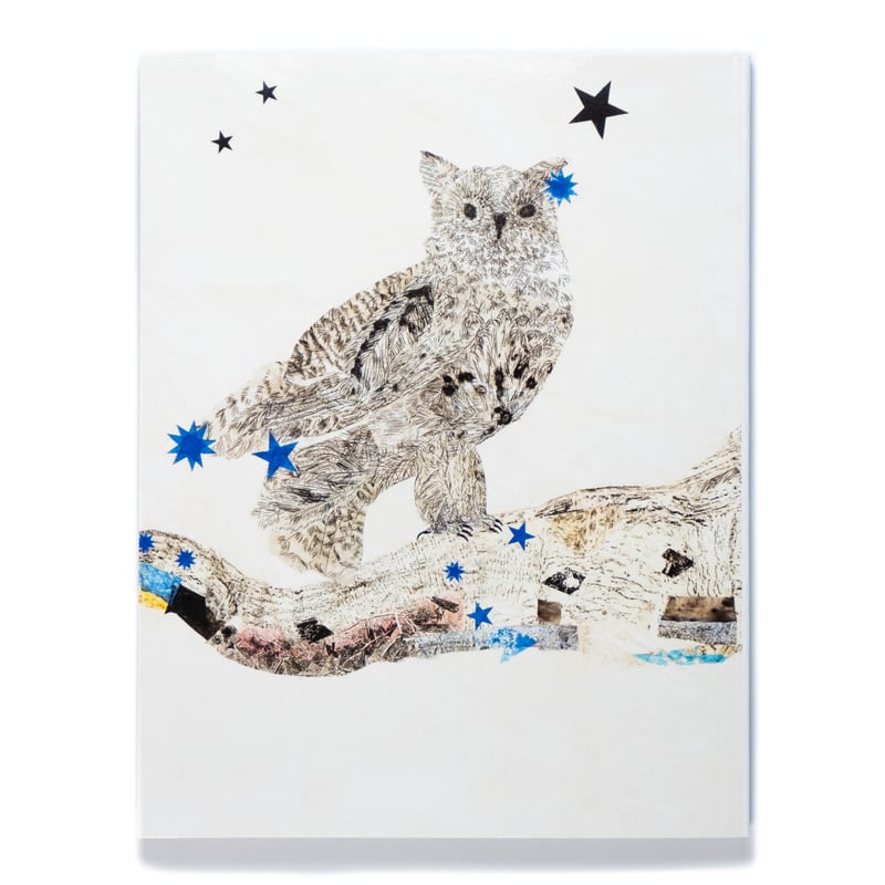 限定アートポスター/The Falls Ⅲ/キキ・スミス/Kiki Smith Free Fall | All Works | The MFAH Collections