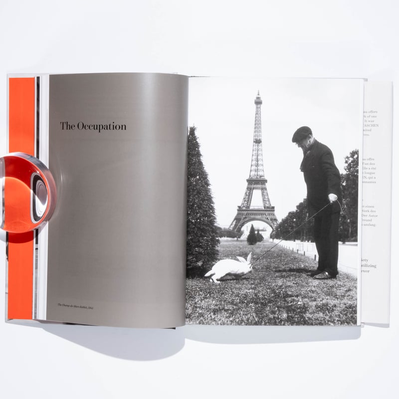 洋書　DOISNEAU: PORTRAITS D'ARTISTES Musée Jean Couty Lyon - Robert Doisneau -Portraits d'artistes et