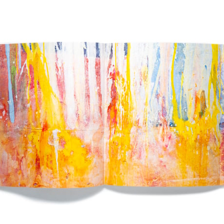 Frank Bowling: Landscape