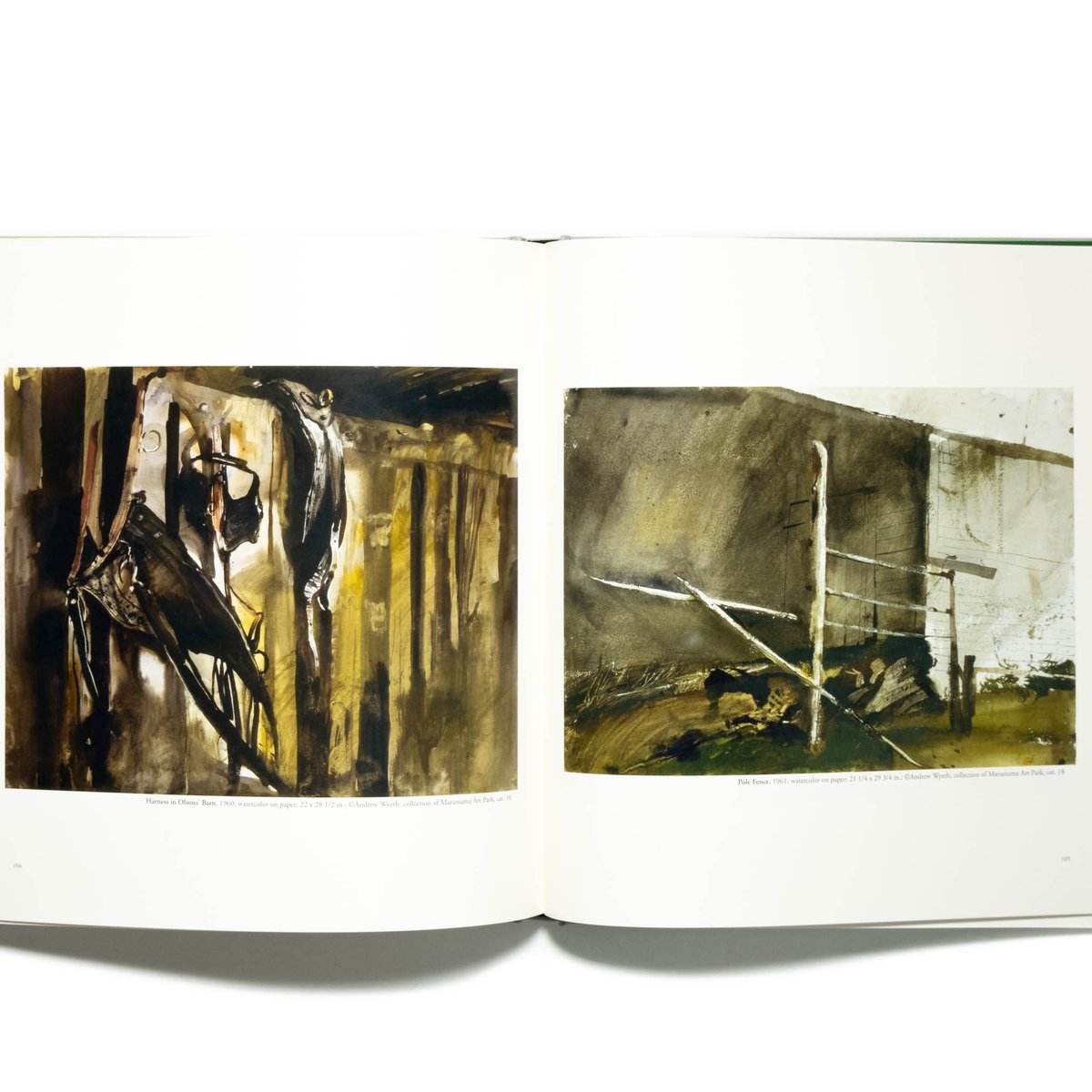 Andrew Wyeth: Christina's World, and the Olson