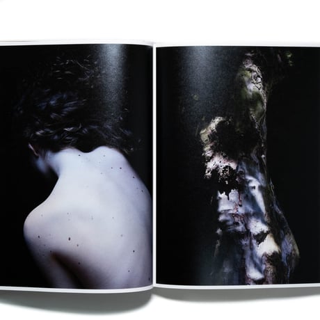 Carla van de Puttelaar: Adornments