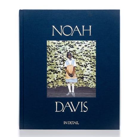 Noah Davis: In Detail